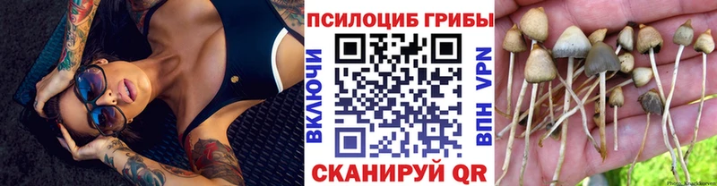 Псилоцибиновые грибы Magic Shrooms Пучеж